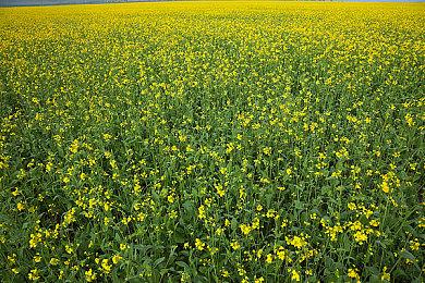 华纳将继续推出DC游戏，但暂时不会制作《超人》游戏